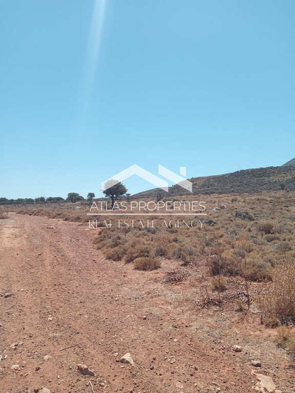Οικόπεδο 76.000 τ.μ. προς πώληση, Κόκκινο Χωριό