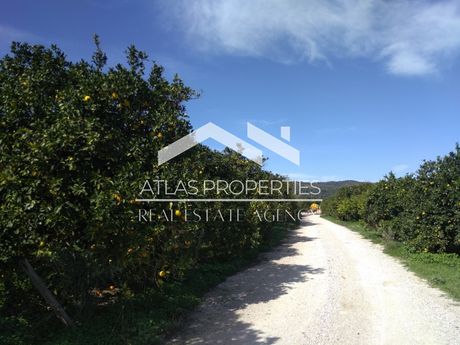 Parcel 2.691sqm for sale-Mousouroi » Vatolakkos