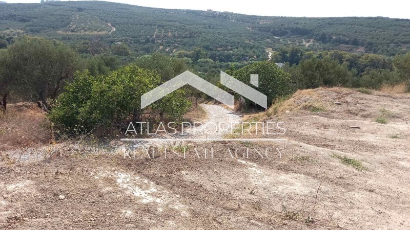 Οικόπεδο 1.322 τ.μ. προς πώληση, Κοντομάρι