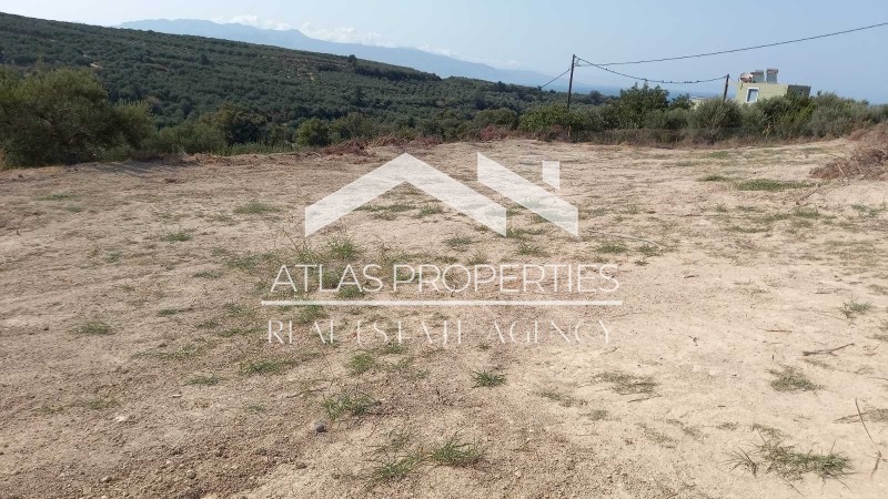 Οικόπεδο 1.322 τ.μ. προς πώληση, Κοντομάρι