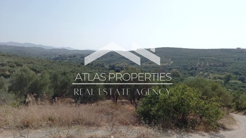 Οικόπεδο 1.322 τ.μ. προς πώληση, Κοντομάρι