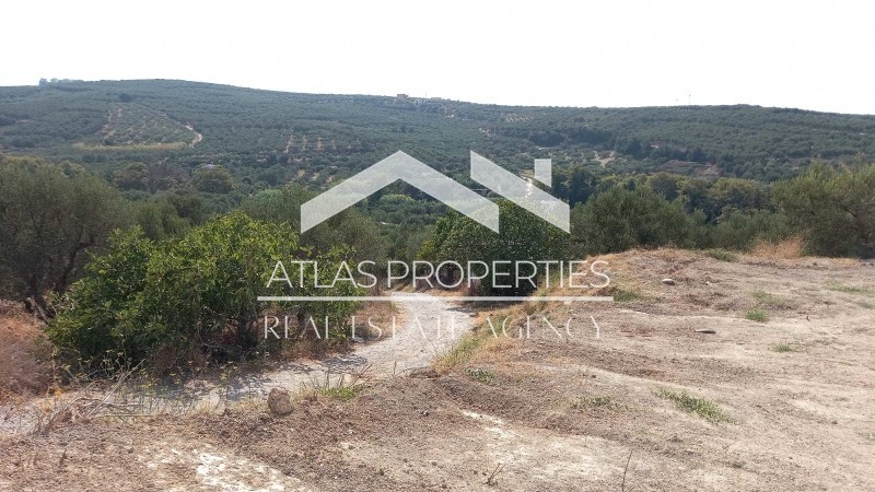 Οικόπεδο 1.322 τ.μ. προς πώληση, Κοντομάρι
