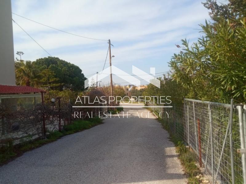 Οικόπεδο 4.200 τ.μ. προς πώληση, Κορακιές