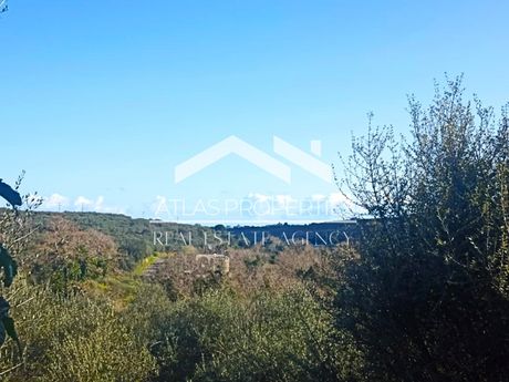 Οικόπεδο 2.830τ.μ. για πώληση-Πλατανιάς » Κυπάρισσος