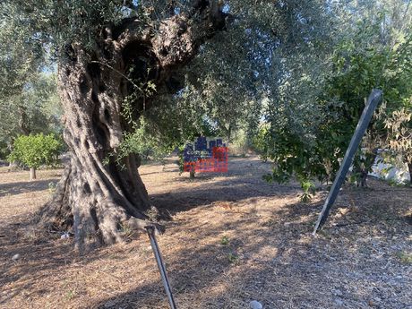 Οικόπεδο 842 τ.μ. για πώληση