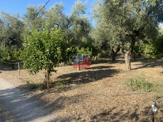 Οικόπεδο 842 τ.μ. πρός πώληση, Αχαΐα, Διακοπτό-thumb-1