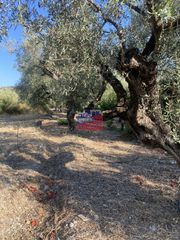 Οικόπεδο 842 τ.μ. πρός πώληση, Αχαΐα, Διακοπτό-thumb-4