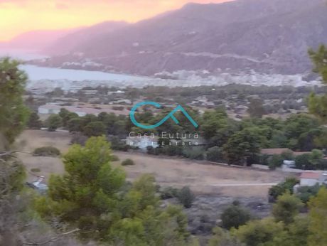 Οικόπεδο 20.000 τ.μ. για πώληση