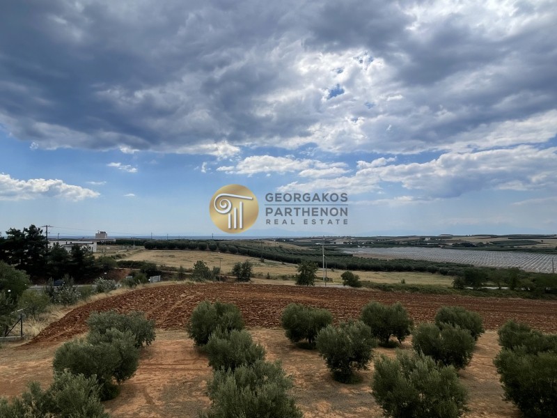 Κτίριο 600 τ.μ. προς πώληση, Ζωγράφου Μουδανιών