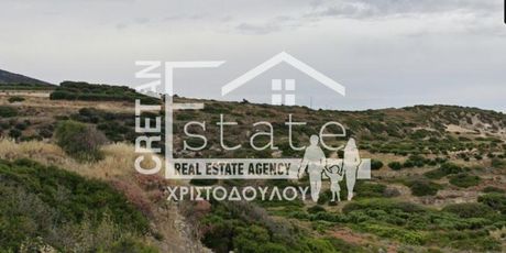 Αγροτεμάχια 33.000τ.μ. για πώληση-Ιεράπετρα » Παχεία άμμος