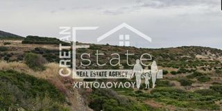 Αγροτεμάχια 33.000 τ.μ. για πώληση