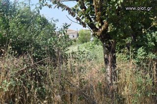 Οικόπεδο 800 τ.μ. για πώληση, Ν. Ιωαννίνων, Ιωάννινα-thumb-4