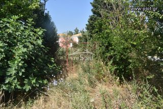Οικόπεδο 800 τ.μ. για πώληση, Ν. Ιωαννίνων, Ιωάννινα-thumb-5