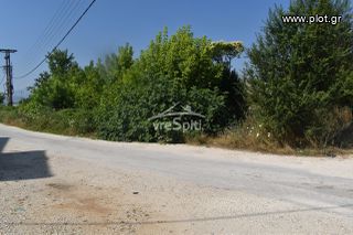 Οικόπεδο 800 τ.μ. για πώληση, Ν. Ιωαννίνων, Ιωάννινα-thumb-8