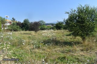 Οικόπεδο 800 τ.μ. για πώληση, Ν. Ιωαννίνων, Ιωάννινα-thumb-15