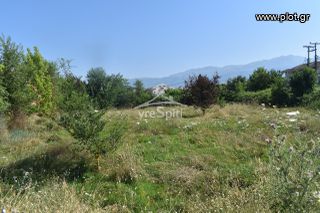 Οικόπεδο 800 τ.μ. για πώληση, Ν. Ιωαννίνων, Ιωάννινα-thumb-16