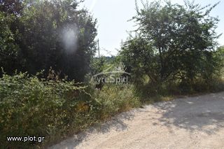 Οικόπεδο 800 τ.μ. για πώληση, Ν. Ιωαννίνων, Ιωάννινα-thumb-20