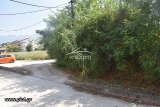 Οικόπεδο 800 τ.μ. για πώληση, Ν. Ιωαννίνων, Ιωάννινα-thumb-24