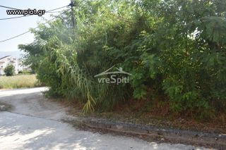 Οικόπεδο 800 τ.μ. για πώληση, Ν. Ιωαννίνων, Ιωάννινα-thumb-25