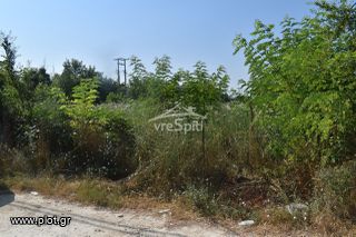 Οικόπεδο 800 τ.μ. για πώληση, Ν. Ιωαννίνων, Ιωάννινα-thumb-1