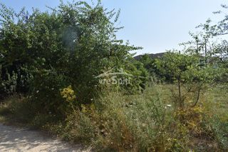 Οικόπεδο 800 τ.μ. πρός πώληση, Ν. Ιωαννίνων, Ιωάννινα-thumb-39