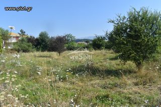 Οικόπεδο 800 τ.μ. πρός πώληση, Ν. Ιωαννίνων, Ιωάννινα-thumb-12