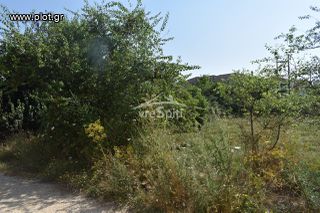 Οικόπεδο 800 τ.μ. πρός πώληση, Ν. Ιωαννίνων, Ιωάννινα-thumb-15