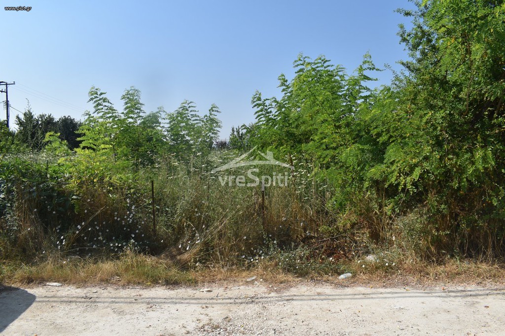 Οικόπεδο 800 τ.μ. για πώληση, Ν. Ιωαννίνων, Ιωάννινα
