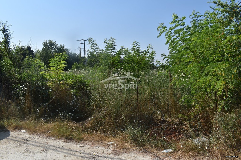 Οικόπεδο 800 τ.μ. πρός πώληση, Ν. Ιωαννίνων, Ιωάννινα