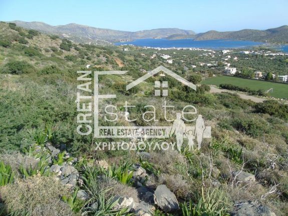 Αγροτεμάχια 22.561 τ.μ. για πώληση, Ν. Λασιθίου, Άγιος Νικόλαος