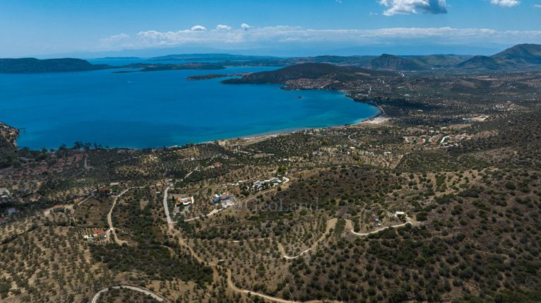 Αγροτεμάχια 12.506 τ.μ. για πώληση, Αργολίδα, Ερμιόνη