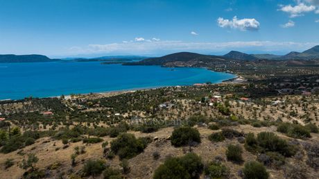 Αγροτεμάχια 17.047 τ.μ. για πώληση