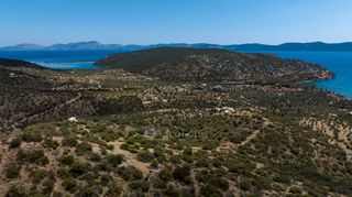 Αγροτεμάχια 17.047 τ.μ. για πώληση, Αργολίδα, Ερμιόνη-thumb-14