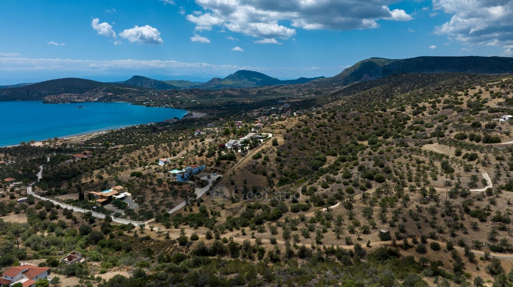 Αγροτεμάχια 17.047 τ.μ. προς πώληση, Αχλαδίτσα