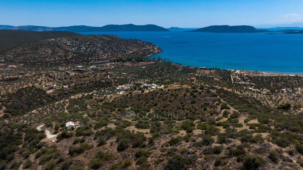 Αγροτεμάχια 5.180 τ.μ. για πώληση, Αργολίδα, Ερμιόνη