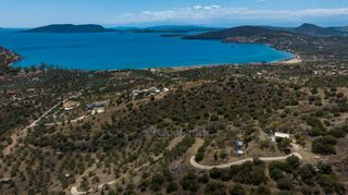 Αγροτεμάχια 5.180 τ.μ. για πώληση, Αργολίδα, Ερμιόνη-thumb-13
