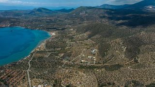 Αγροτεμάχια 34.735 τ.μ. για πώληση, Αργολίδα, Ερμιόνη-thumb-5
