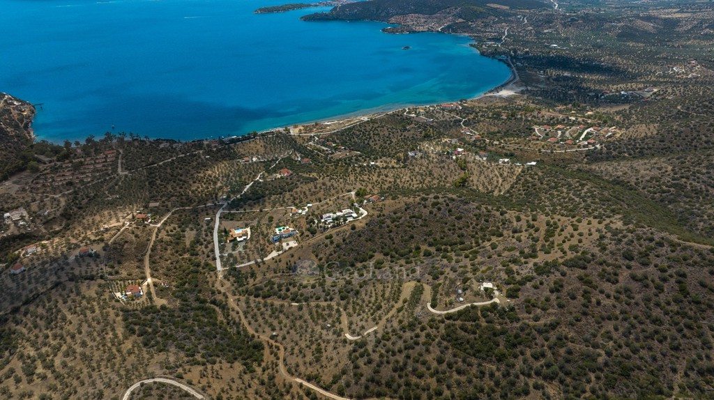 Αγροτεμάχια 34.735 τ.μ. προς πώληση, Αχλαδίτσα