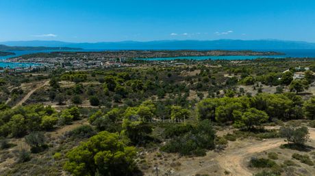 Αγροτεμάχια 13.000τ.μ. για πώληση-Κρανίδι » Πορτοχέλι