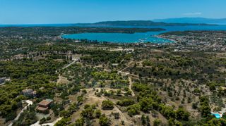 Αγροτεμάχια 13.000 τ.μ. για πώληση, Αργολίδα, Κρανίδι-thumb-16