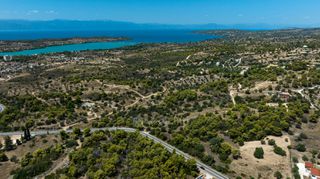 Αγροτεμάχια 13.000 τ.μ. για πώληση, Αργολίδα, Κρανίδι-thumb-11