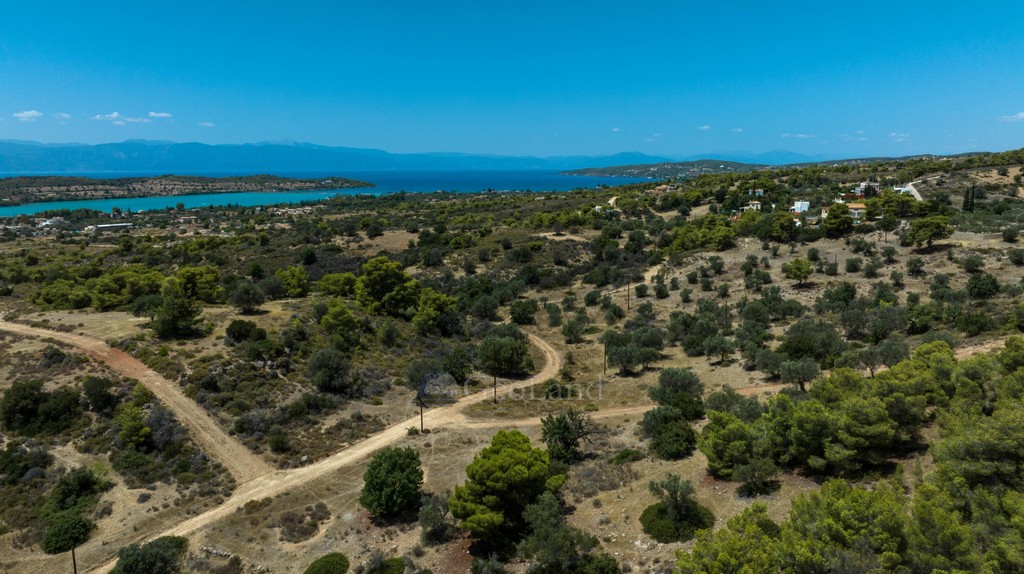 Αγροτεμάχια 13.000 τ.μ. προς πώληση, Αργολίδα, Κρανίδι