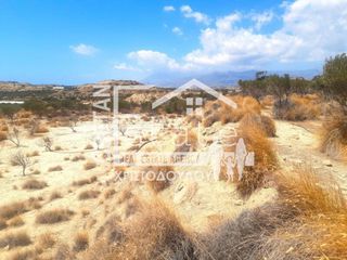 Αγροτεμάχια 33.052 τ.μ. για πώληση, Ν. Λασιθίου, Ιεράπετρα-thumb-6