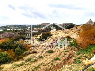 Αγροτεμάχια 33.052 τ.μ. για πώληση, Ν. Λασιθίου, Ιεράπετρα-thumb-7