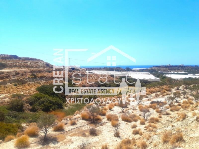 Αγροτεμάχια 33.052 τ.μ. προς πώληση, Βαϊνιά