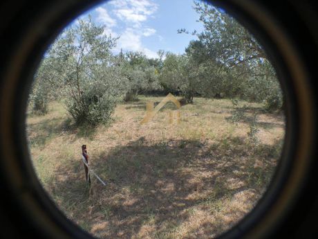 Οικόπεδο 600τ.μ. για πώληση-Άγιος γεώργιος » Νέα βρασνά