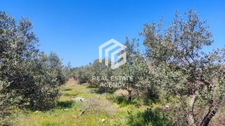 Οικόπεδο 12.506 τ.μ. για πώληση, Ν. Ρεθύμνου, Αρκάδι-thumb-2
