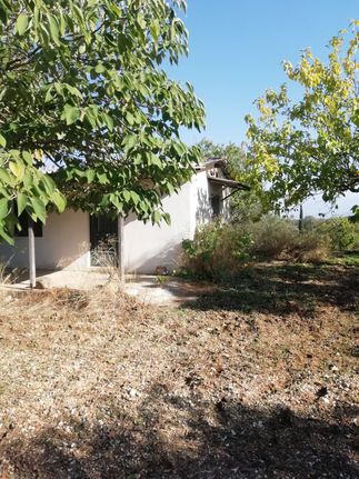 Αγροτεμάχια 8.900 τ.μ. για πώληση, Αχαΐα, Δυτικής Αχαΐας