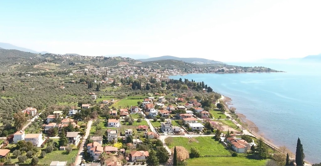 Οικόπεδο 1.000 τ.μ. προς πώληση, Παραλία Ραχών