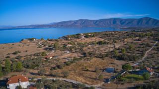 Αγροτεμάχια 6.290 τ.μ. για πώληση